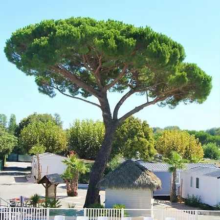 La Pinede Camping 4*